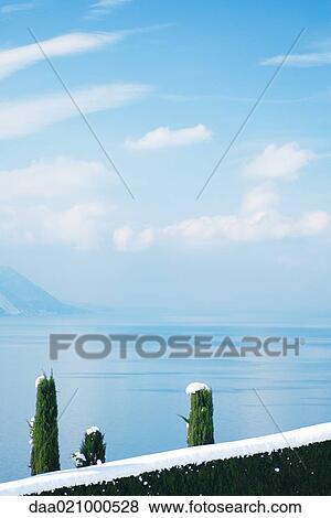 Stock Photo - Tops of snow-covered trees, lakescape in background. Fotosearch