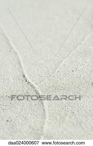 Traces of surf on sand at low tide, close-up View Large Photo Image Stock Photo - Traces of surf on sand at low tide, close-up. Fotosearch