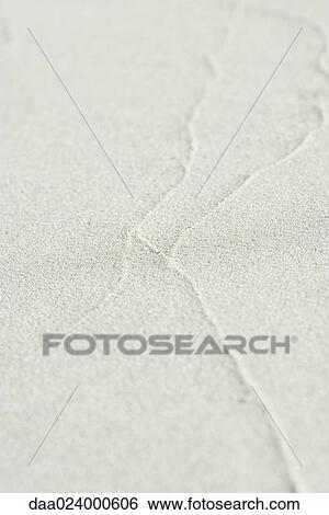 Traces of surf on sand at low tide, close-up View Large Photo Image Stock Photograph - Traces of surf on sand at low tide, close-up. Fotosearch