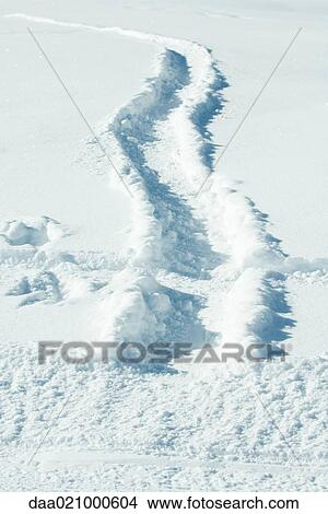 Track in snow View Large Photo Image Picture - Track in snow. Fotosearch