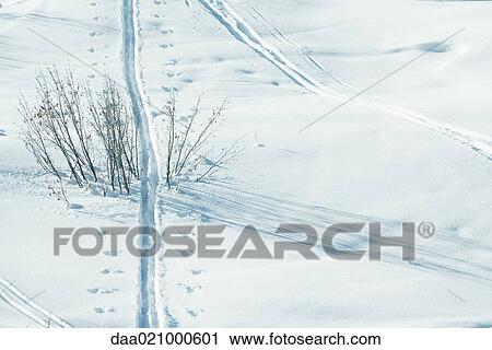 Tracks in snow View Large Photo Image Stock Image - Tracks in snow. Fotosearch
