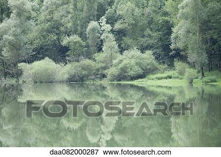 Tranquil lake scene View Large Photo Image Stock Photo - Tranquil lake scene. Fotosearch