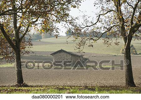 Tranquil rural scene View Large Photo Image Stock Image - Tranquil rural scene. Fotosearch