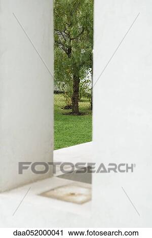 Tree in distance viewed through porch columns View Large Photo Image Stock Image - Tree in distance viewed through porch columns. Fotosearch