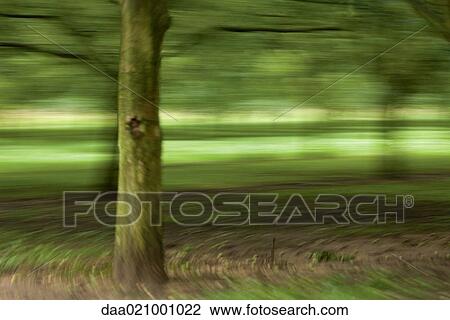 Tree in landscape, blurred motion View Large Photo Image Stock Image - Tree in landscape, blurred motion. Fotosearch
