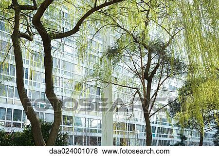 Stock Photo - Trees and office building. Fotosearch