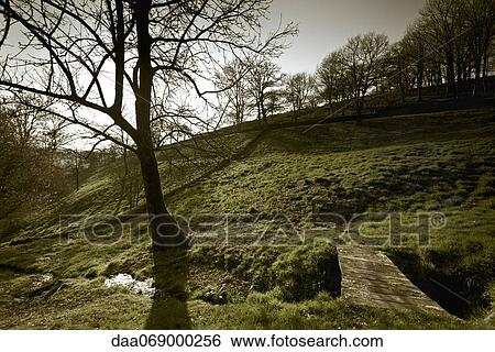 Trees on hill View Large Photo Image Stock Photograph - Trees on hill. Fotosearch