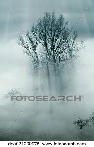 Trees surrounded by mist View Large Photo Image Stock Photography - Trees surrounded by mist. Fotosearch