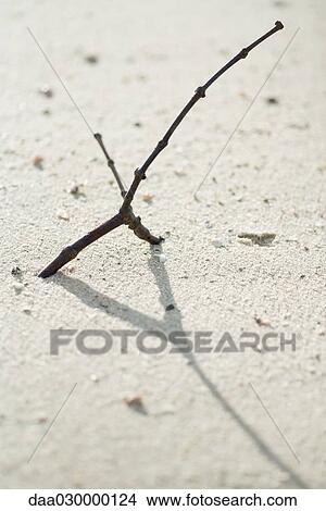 Twig stuck in sand, close-up View Large Photo Image Picture - Twig stuck in sand, close-up. Fotosearch