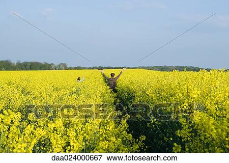Two girls standing in field of canola in bloom with arms raised, mid-distance, rear view View Large Photo Image Stock Photo - Two girls standing in field of canola in bloom with arms raised, mid-distance, rear view. Fotosearch