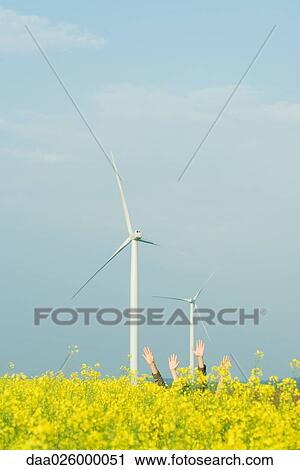 Two sets of hands rising out of field of colza, wind turbines in background View Large Photo Image Stock Image - Two sets of hands rising out of field of colza, wind turbines in background. Fotosearch