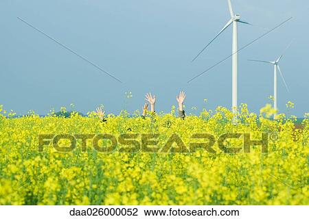 Two sets of hands rising out of field of colza, wind turbines in background View Large Photo Image Stock Image - Two sets of hands rising out of field of colza, wind turbines in background. Fotosearch