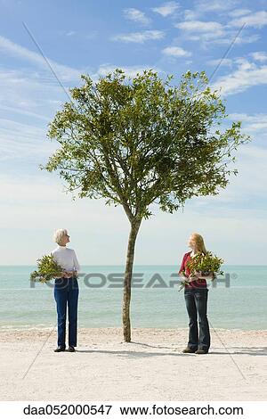 Two women holding cut branches, contemplating tree View Large Photo Image Stock Photo - Two women holding cut branches, contemplating tree. Fotosearch