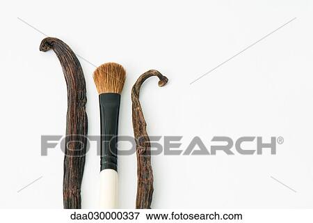 Vanilla pods and make-up brush, close-up View Large Photo Image Stock Photo - Vanilla pods and make-up brush, close-up. Fotosearch