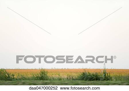 Vast open field View Large Photo Image Stock Image - Vast open field. Fotosearch
