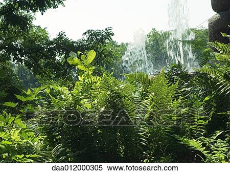 Stock Photography - Vegetation, water fountains in background. Fotosearch