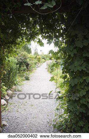 Stock Image - Vine draped trellis spanning garden path. Fotosearch