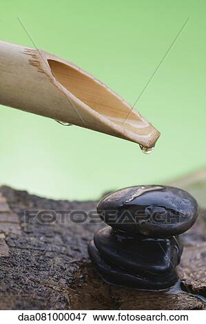 Water droplet hanging off bamboo spout over stack of pebbles View Large Photo Image Stock Photo - Water droplet hanging off bamboo spout over stack of pebbles. Fotosearch