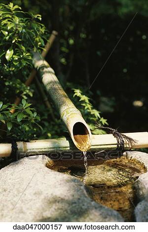 Water trickling from bamboo pipes into stone wash basin, Japan View Large Photo Image Stock Photo - Water trickling from bamboo pipes into stone wash basin, Japan. Fotosearch