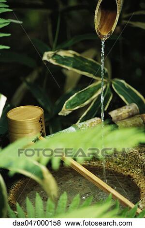 Water trickling from bamboo pipes into stone wash basin, Japan View Large Photo Image Stock Photo - Water trickling from bamboo pipes into stone wash basin, Japan. Fotosearch