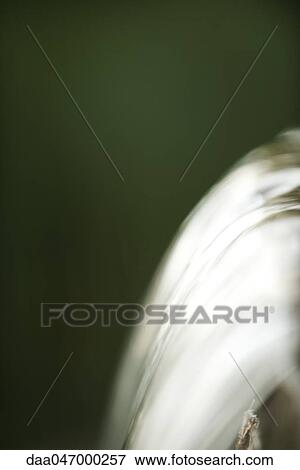 Waterfall, close-up View Large Photo Image Stock Photo - Waterfall, close-up. Fotosearch