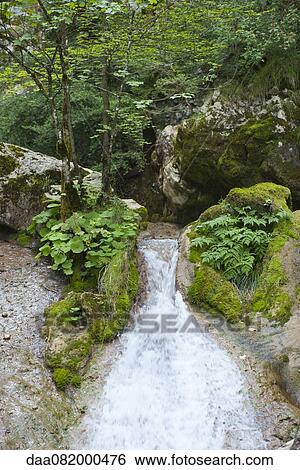 Stock Photograph - Waterfall. Fotosearch