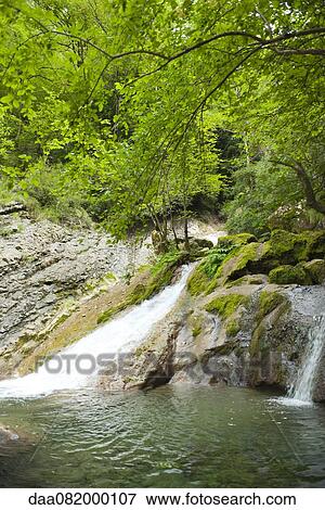 Waterfalls at edge of woods View Large Photo Image Stock Photo - Waterfalls at edge of woods. Fotosearch