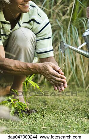 Watering can pouring water, man washing hands View Large Photo Image Picture - Watering can pouring water, man washing hands. Fotosearch