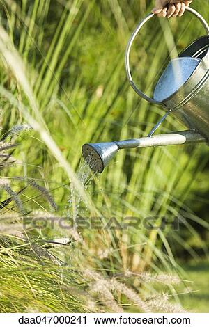 Watering garden View Large Photo Image Stock Image - Watering garden. Fotosearch