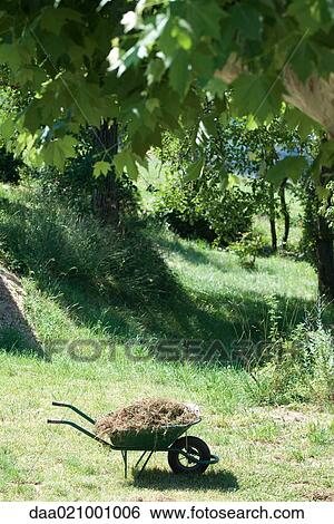 Wheelbarrow full of weeds View Large Photo Image Stock Photograph - Wheelbarrow full of weeds. Fotosearch