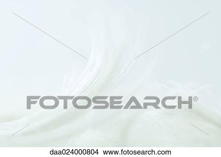 White feathers against white background View Large Photo Image Picture - White feathers against white background. Fotosearch