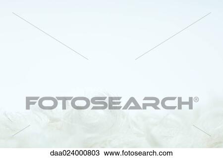 Stock Image - White feathers against white background. Fotosearch