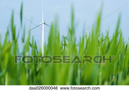 Stock Photo - Wind turbine in field of tall grass, low angle view, focus on background. Fotosearch
