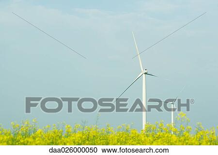 Stock Image - Wind turbines in field of flowers. Fotosearch