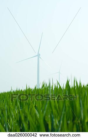 Stock Image - Wind turbines in field of grass, low angle view. Fotosearch