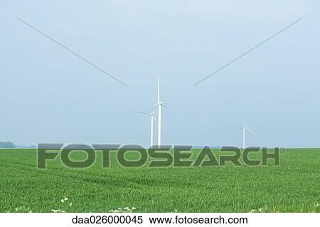 Wind turbines in field of grass View Large Photo Image Stock Photography - Wind turbines in field of grass. Fotosearch