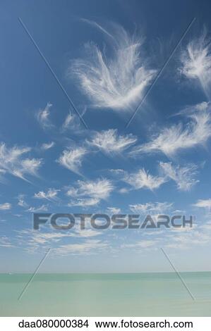 Picture - Wispy clouds over tranquil sea. Fotosearch