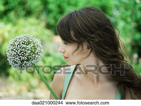 Woman and allium flower View Large Photo Image Picture - Woman and allium flower. Fotosearch