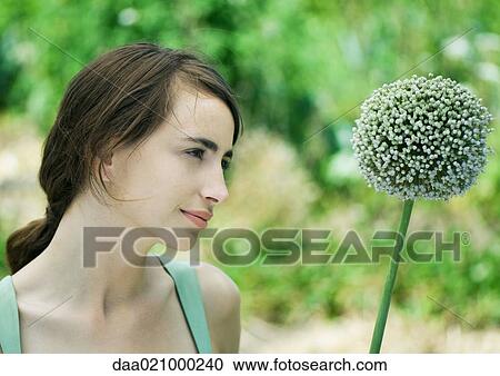 Woman and allium flower View Large Photo Image Stock Image - Woman and allium flower. Fotosearch