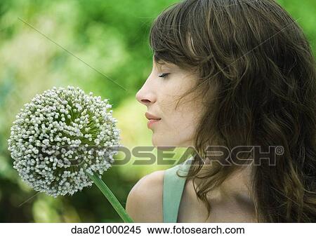 Stock Photography - Woman and allium flower. Fotosearch