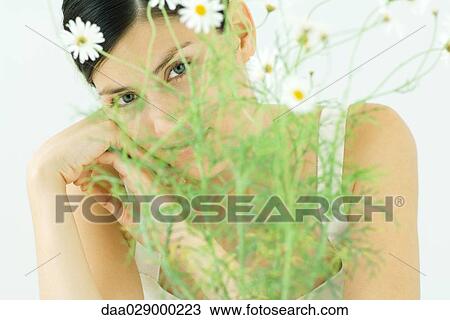 Stock Image - Woman behind chamomile plant, looking at camera, close-up. Fotosearch