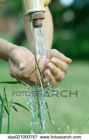 Stock Photo - Woman cupping hands under outdoor faucet, close-up, cropped view of hands. Fotosearch