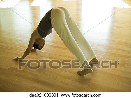 Woman doing downward dog pose View Large Photo Image Stock Image - Woman doing downward dog pose. Fotosearch