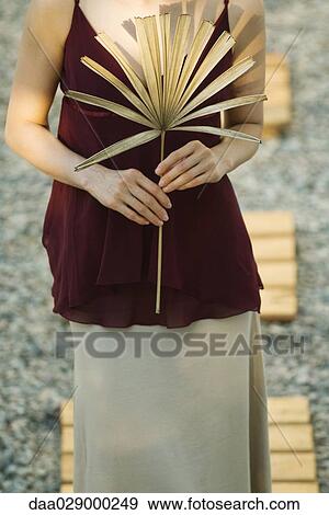 Woman holding dried palm leaf, cropped view View Large Photo Image Stock Photo - Woman holding dried palm leaf, cropped view. Fotosearch