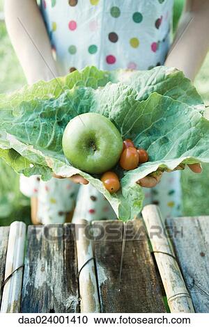 Stock Image - Woman holding fresh produce in cabbage leaves, close-up, cropped view. Fotosearch