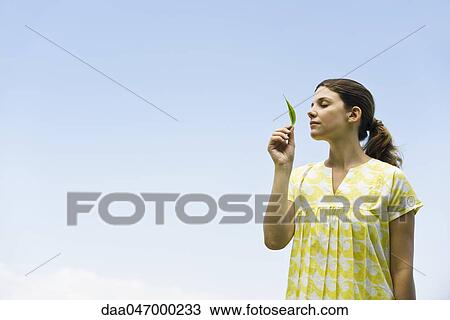 Woman holding leaf up to nose View Large Photo Image Stock Image - Woman holding leaf up to nose. Fotosearch