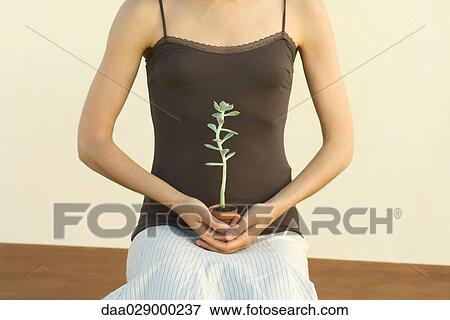 Woman holding potted jade plant on lap, cropped view View Large Photo Image Stock Photo - Woman holding potted jade plant on lap, cropped view. Fotosearch
