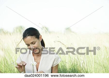 Woman in field, looking at flower, head and shoulders View Large Photo Image Stock Photograph - Woman in field, looking at flower, head and shoulders. Fotosearch