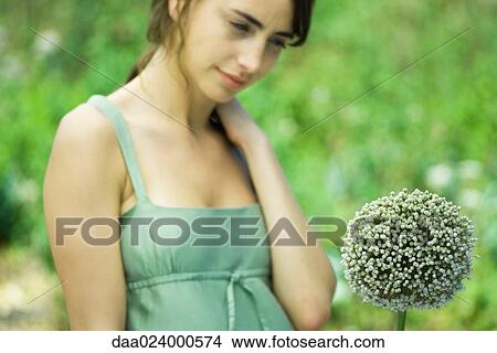 Picture - Woman looking at allium flower. Fotosearch