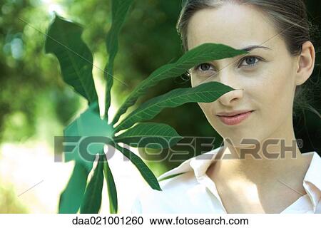 Woman looking through leaves of manioc branch, close-up View Large Photo Image Stock Image - Woman looking through leaves of manioc branch, close-up. Fotosearch